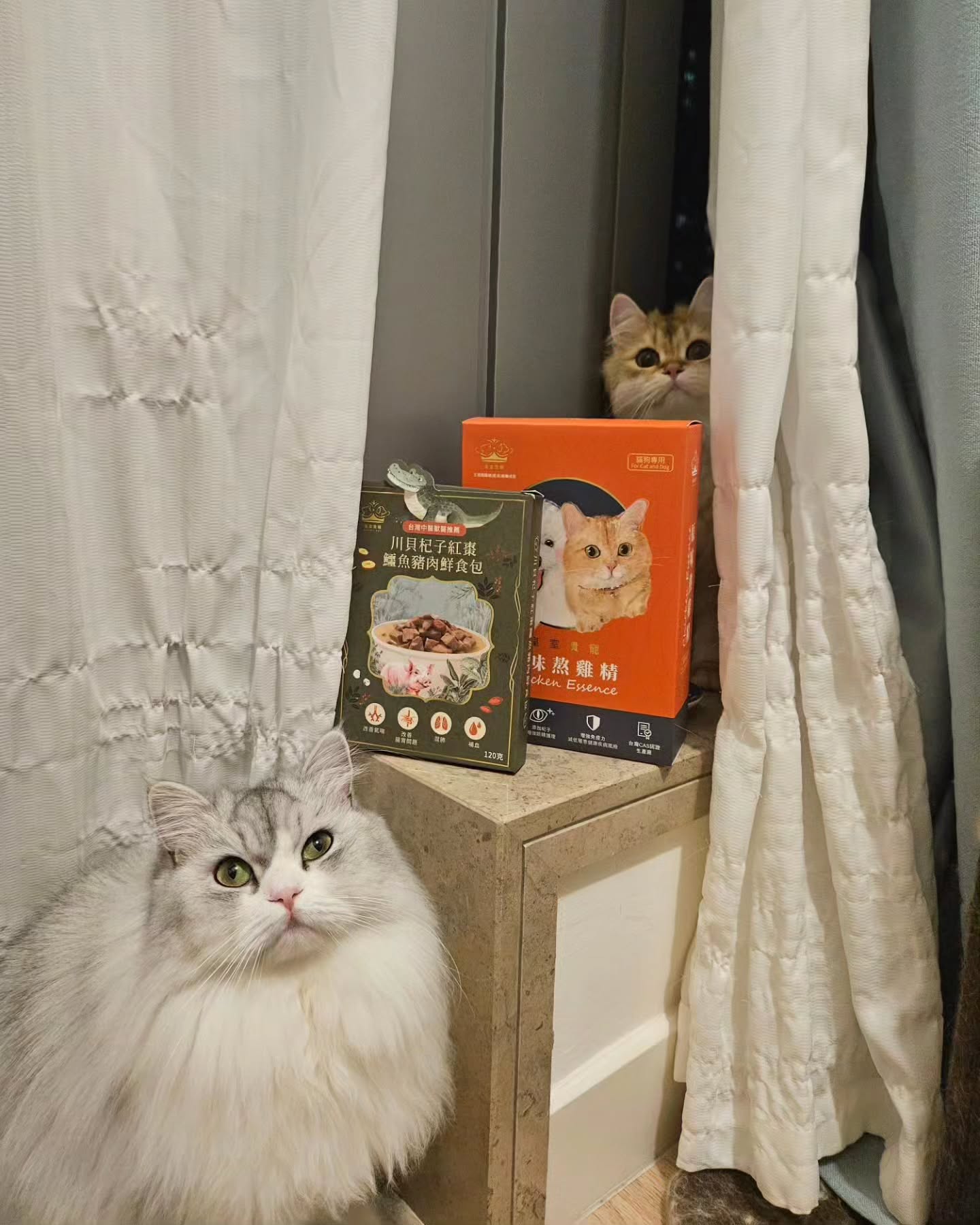 尼尼試食分享@jennie.the.cat