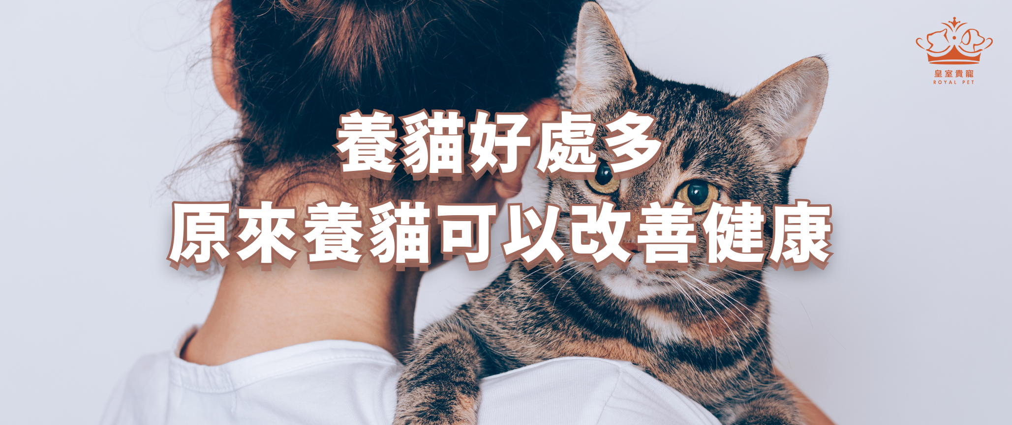 養貓好處多!原來養貓可以改善健康