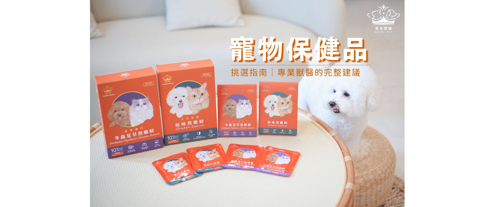 寵物保健品挑選指南|專業獸醫的完整建議