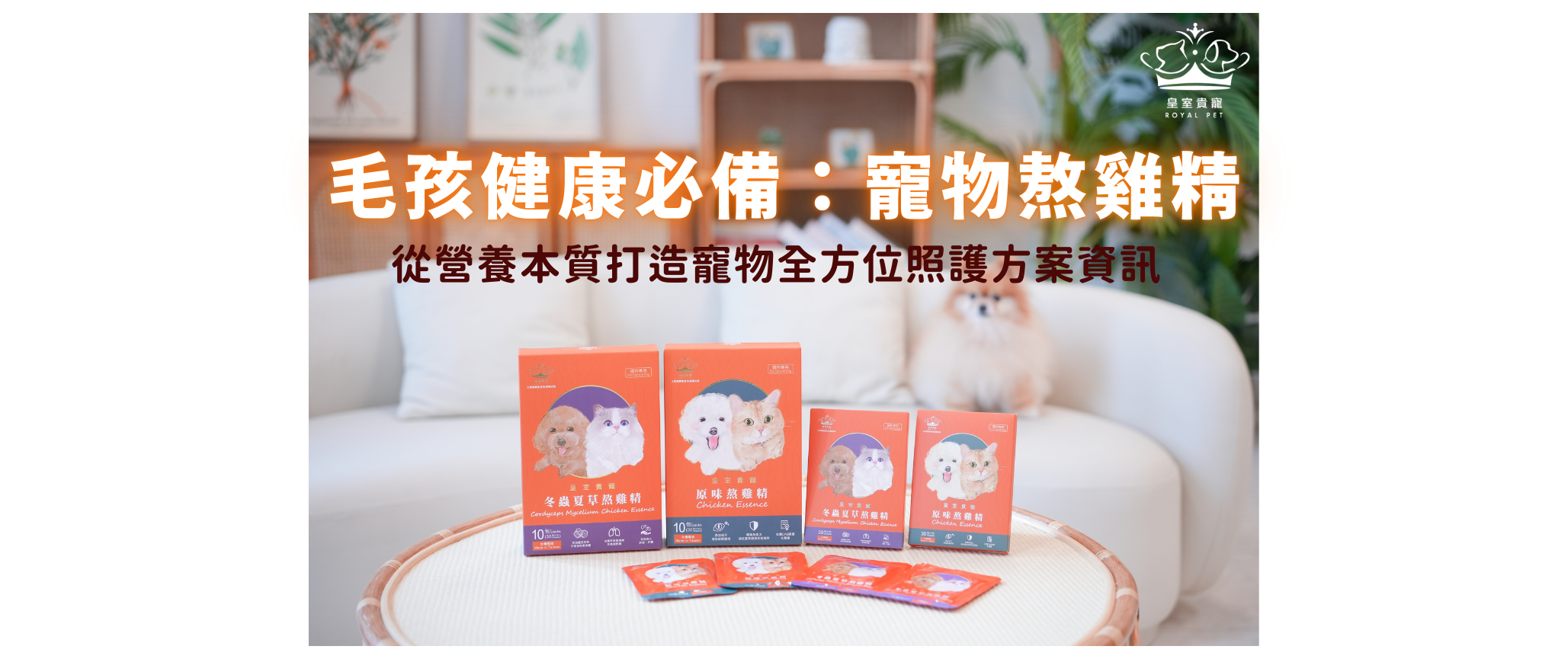 毛孩健康必備:寵物熬雞精——從營養本質打造寵物全方位照護方案