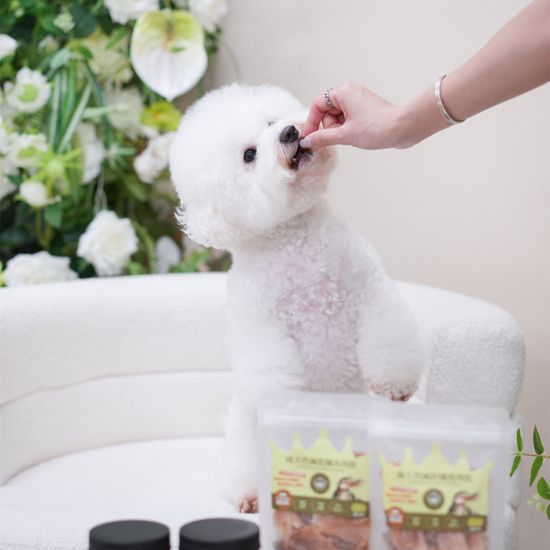 Crocodile freeze-dried meat snack 50g