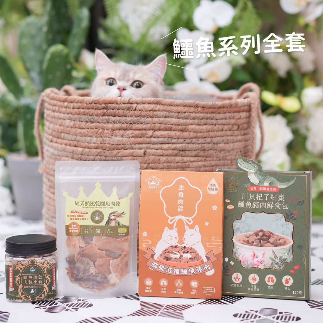 Complete set of crocodile series | Essential for replenishing qi and moisturizing lungs