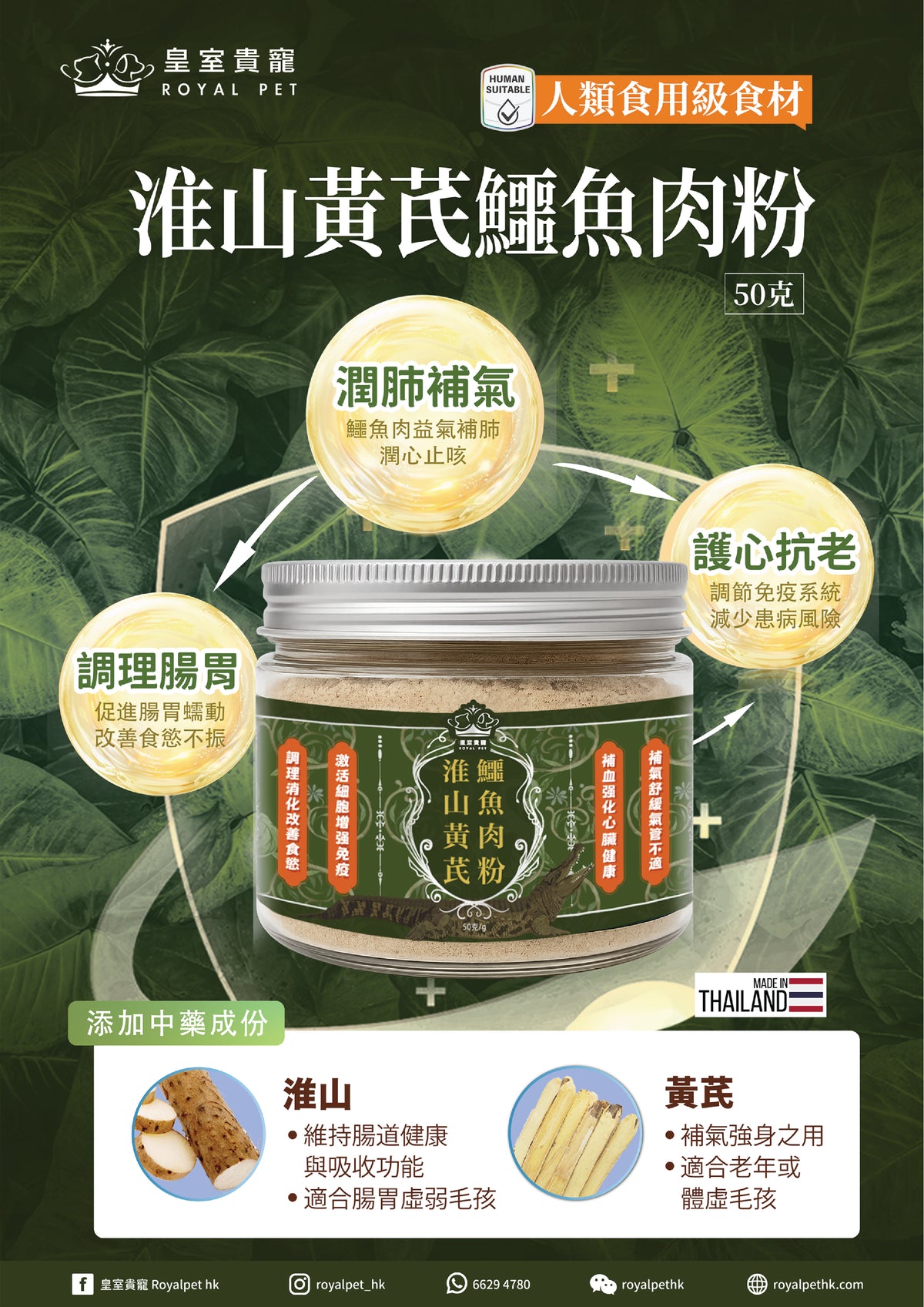 🎁 淮山黃芪鱷魚肉粉 50克 (Discount)
