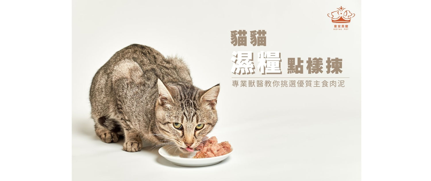 貓貓濕糧點樣揀？｜專業獸醫教你挑選優質主食肉泥