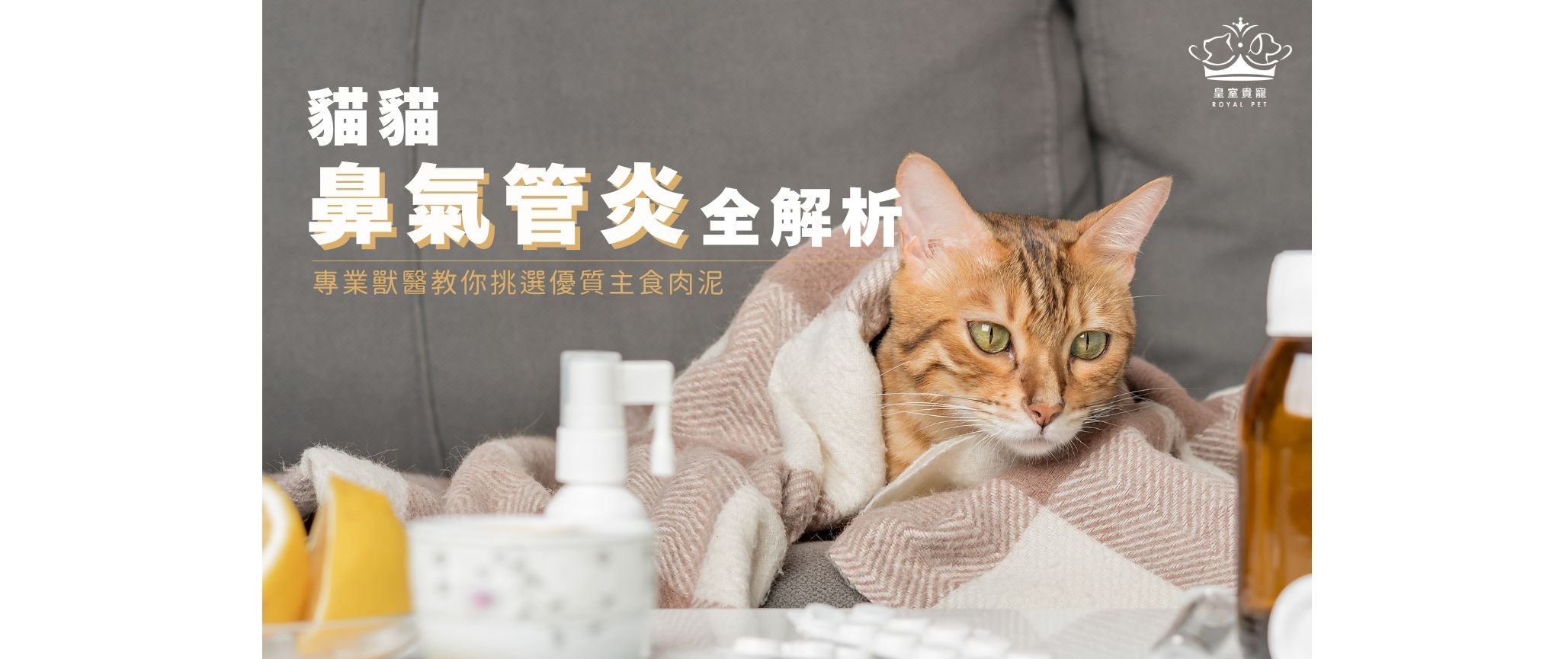 貓鼻氣管炎全解析｜專業獸醫的預防與照護指南