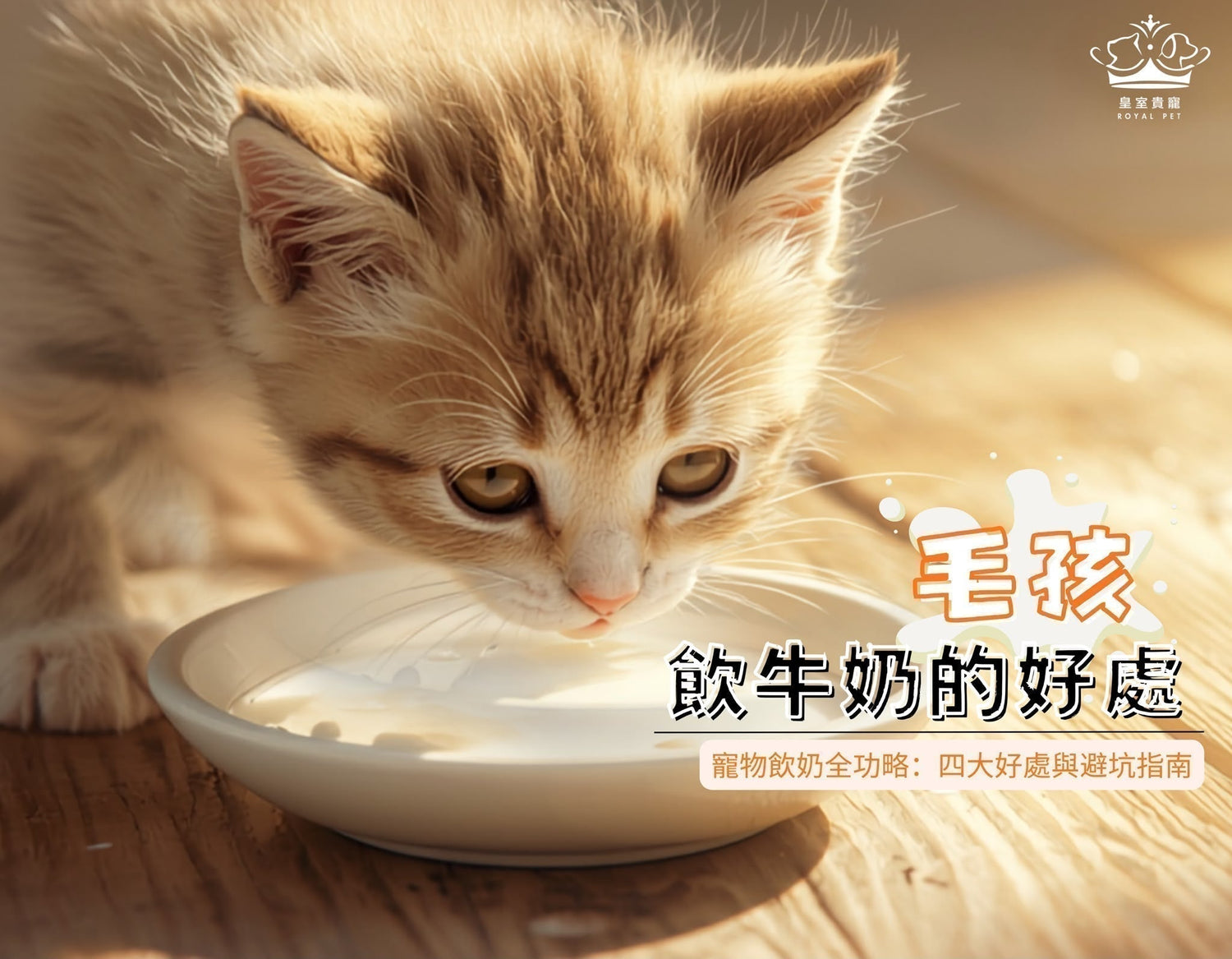 寵物飲奶全攻略：四大好處與避坑指南