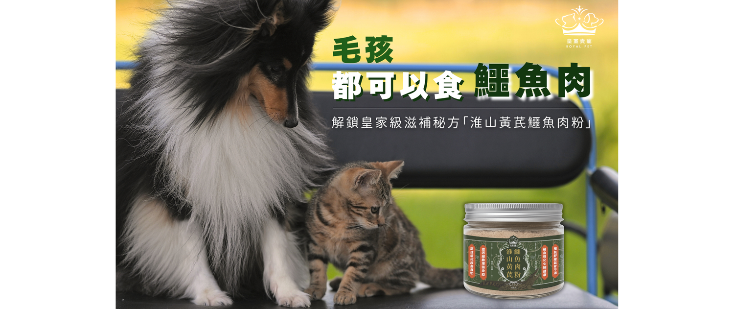 毛孩都可以食鱷魚肉！解鎖皇家級滋補秘方「淮山黃芪鱷魚肉粉」