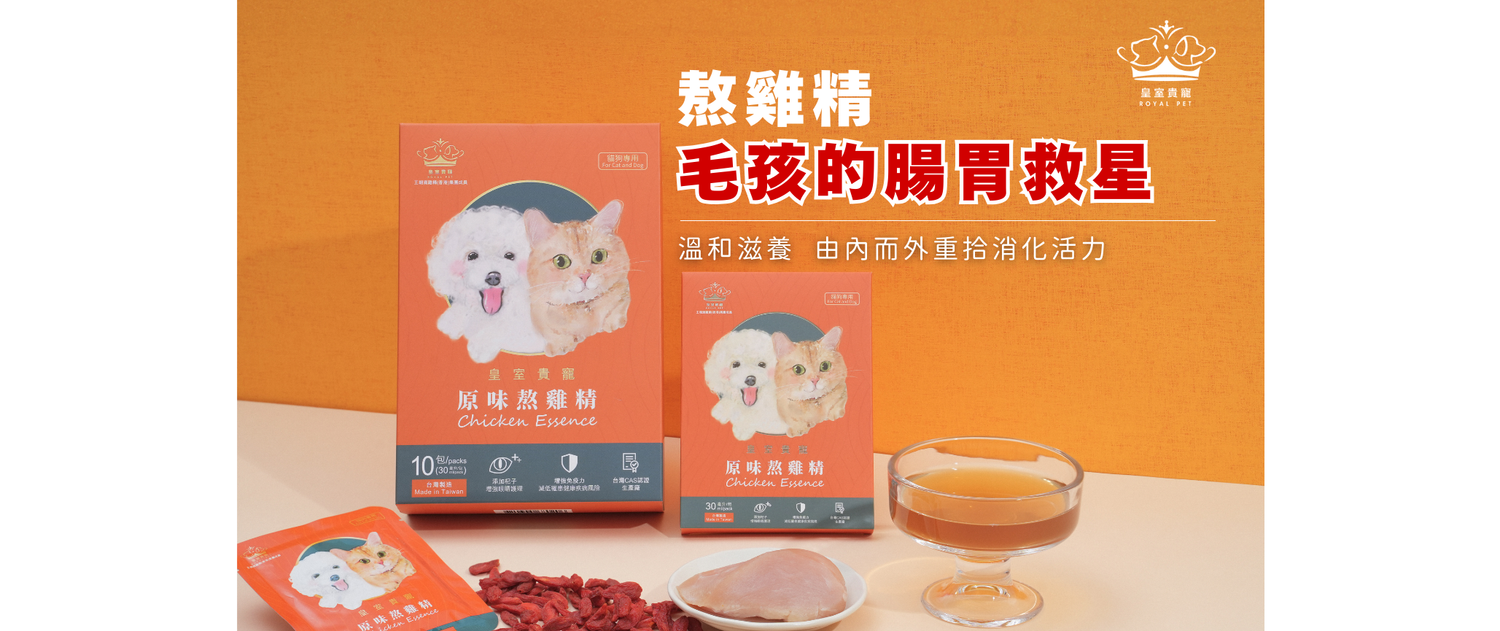 熬雞精是毛孩的腸胃救星 | 溫和滋養，由內而外重拾消化活力