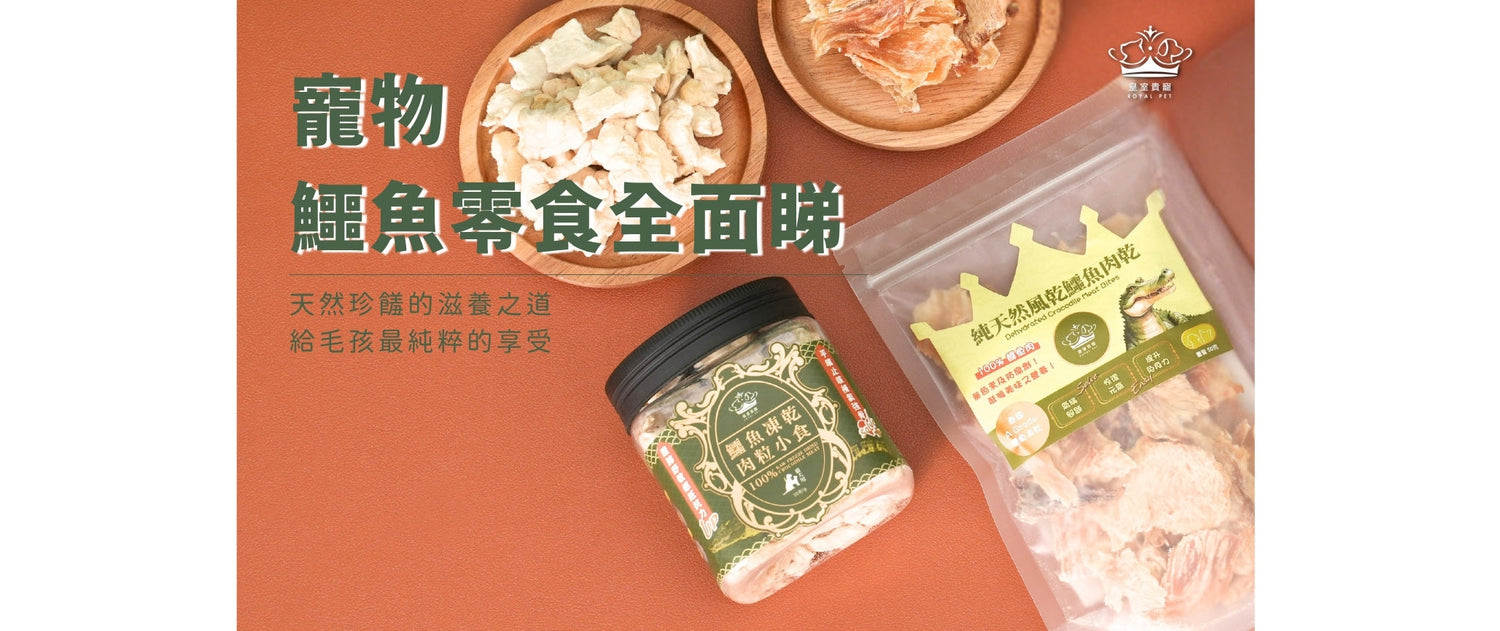 寵物鱷魚零食全面睇｜天然珍饈的滋養之道，給毛孩最純粹的享受