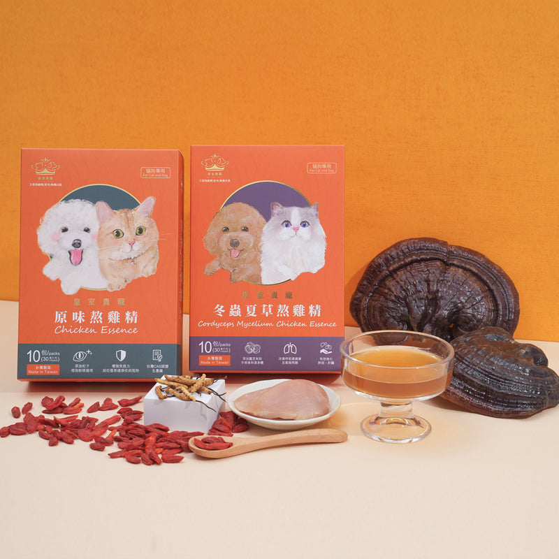 熬雞精
