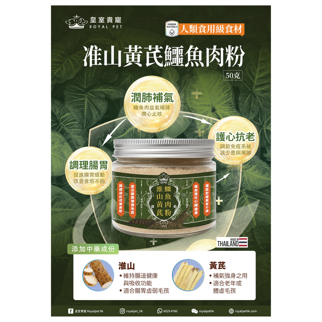 淮山黃芪鱷魚肉粉 50克