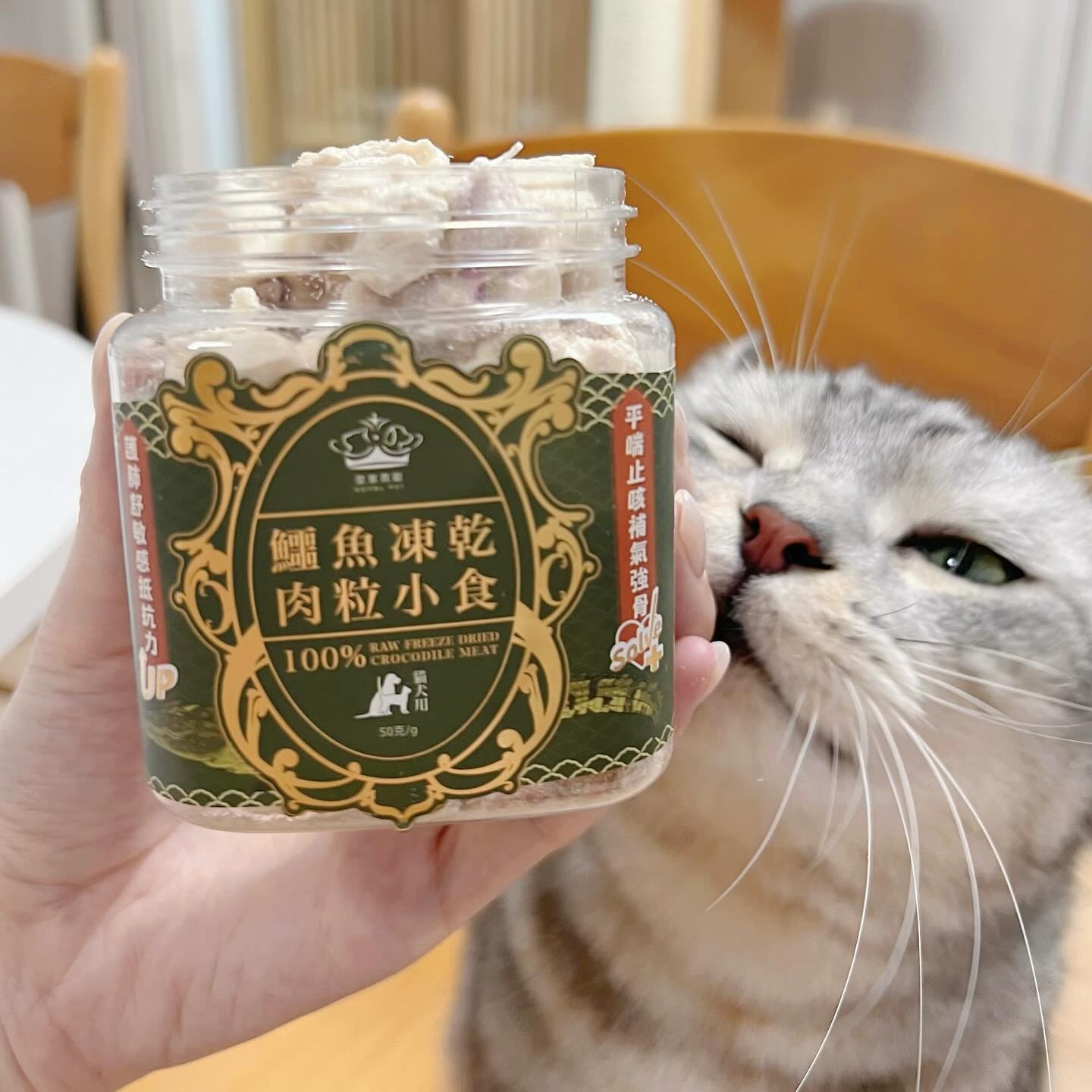 Crocodile freeze-dried meat snack 50g